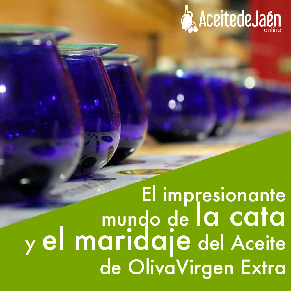 El impresionante mundo de la cata y el maridaje del Aceite de Oliva Virgen Extra